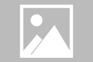 宝威体育-历史仅5人新秀赛季季后赛至少200分70板40助20断 哈珀比肩马努